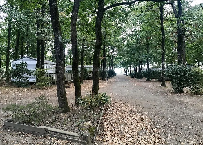 Mobil-home 6 Pers Coeur De Vendee Кемпинг *